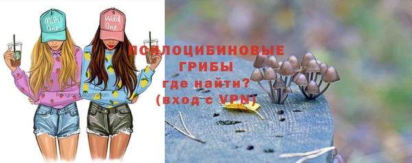 эйфоретик Белокуриха