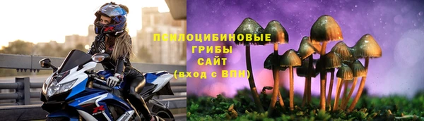 эйфоретик Белокуриха