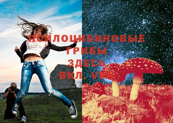 эйфоретик Белокуриха