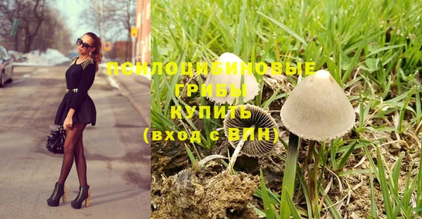 эйфоретик Белокуриха