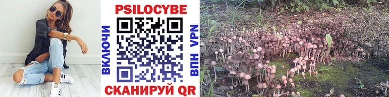 OMG зеркало  Воскресенск  Галлюциногенные грибы GOLDEN TEACHER 
